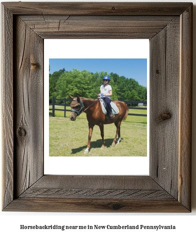 horseback riding near me in New Cumberland, Pennsylvania